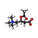 Acetyl-L-carnitine molecule