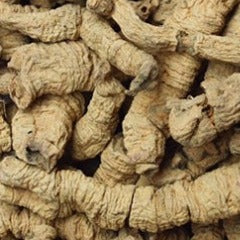 Morinda root