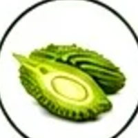 Bitter melon