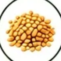 Fenugreek