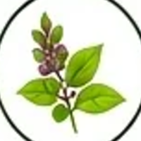 Fulvic mineral extract