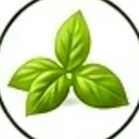 Holy basil
