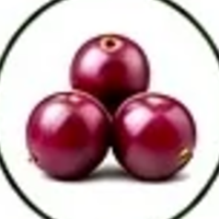 Java plum