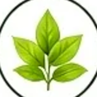 Kutki root